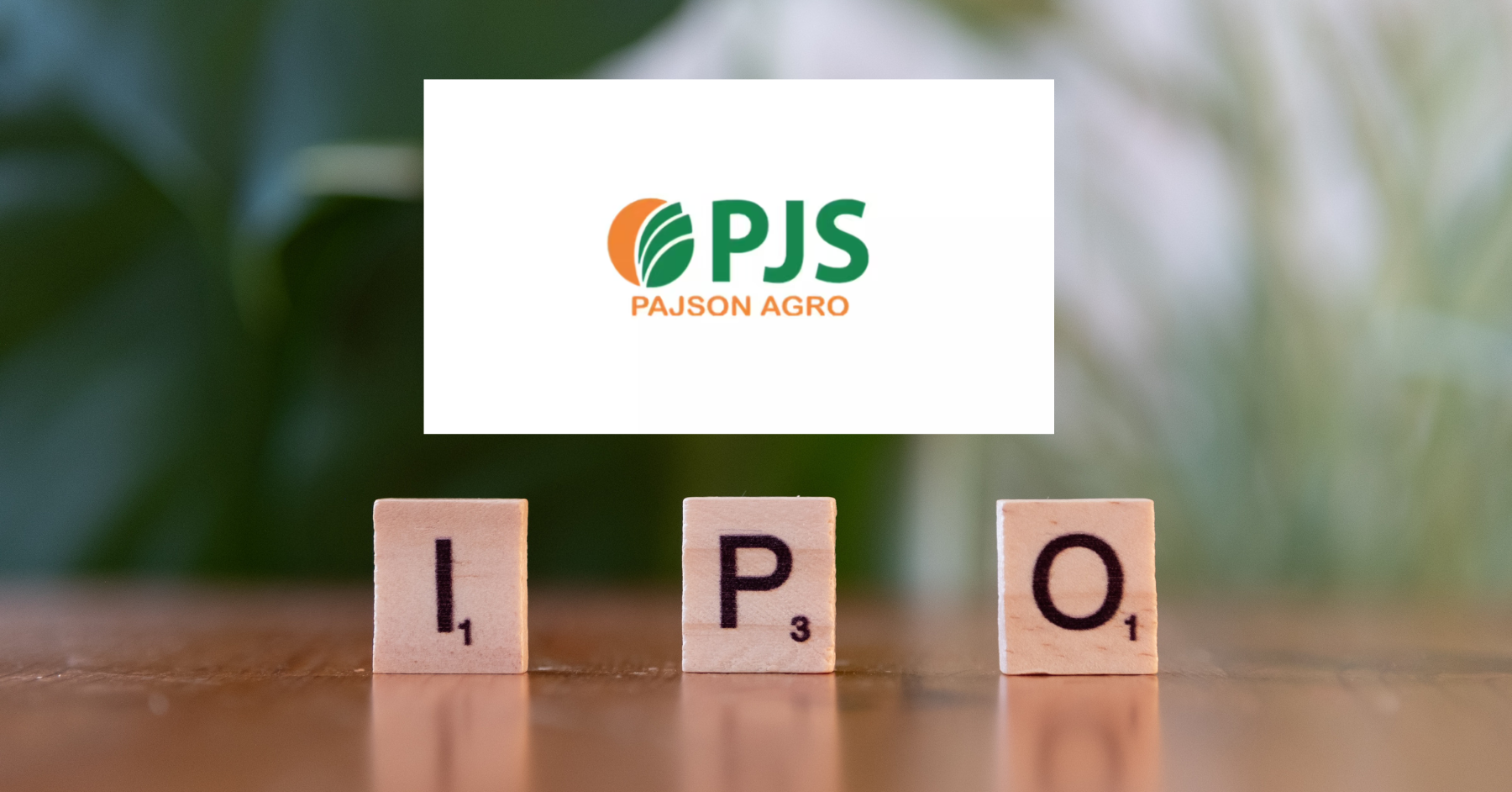 પેજસન એગ્રો ઈન્ડિયાનો SME IPO: રોકાણ કરતા પહેલાં જાણો આ ખાસ વિગતો